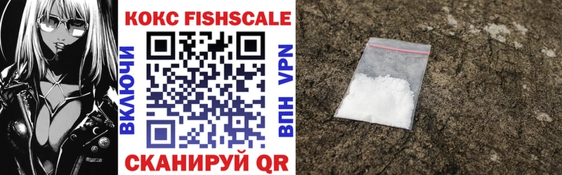 где купить наркоту  Новодвинск  Cocaine FishScale 
