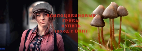 спайс Аркадак