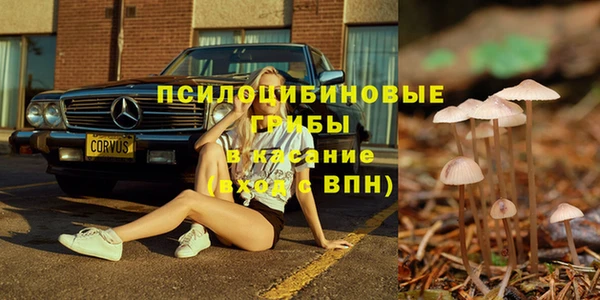 спайс Аркадак