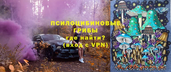 apvp Армянск