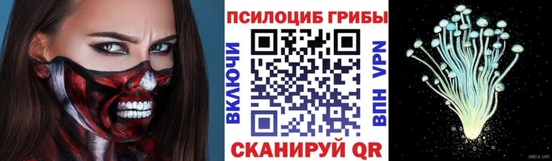 Галлюциногенные грибы Cubensis  купить наркотик  Новодвинск 