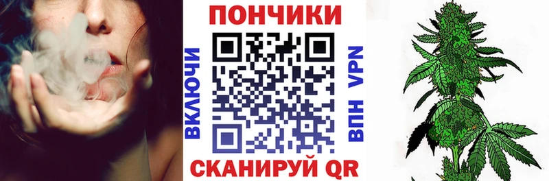 Конопля AK-47  цены   кракен зеркало  Новодвинск 
